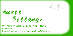 anett villanyi business card